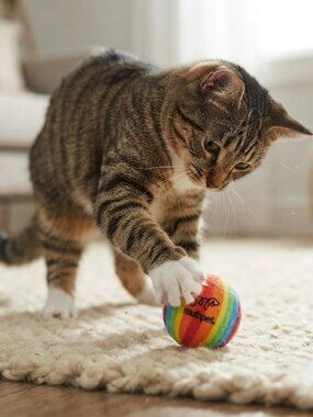 Multipet Rainbow Tennis Ball Cat Toys with Bells, 2-Pack